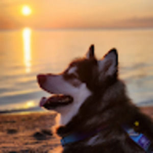 Meet your Posher, Carlie